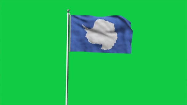 Hoch Detaillierte Flagge Der Antarktis Nationalflagge Der Antarktis Illustration Flagge — Stockvideo
