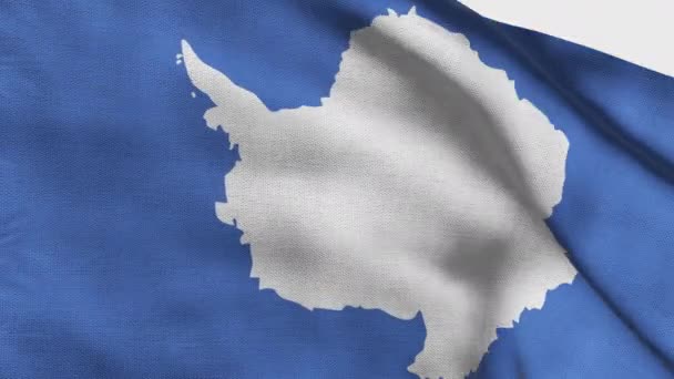 Hoge Gedetailleerde Vlag Van Antarctica Nationale Antarctica Vlag Illustratie Vlag — Stockvideo