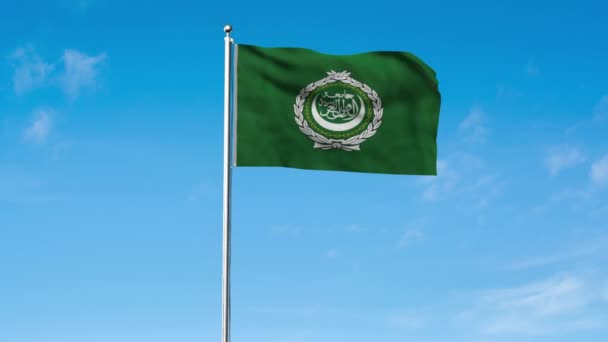 Wysoka Szczegółowa Flaga Ligi Arabskiej Flaga Narodowej Ligi Arabskiej Azję — Wideo stockowe