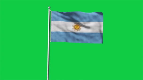 Drapeau Haut Détaillé Argentine Drapeau National Argentin Amérique Sud Render — Video