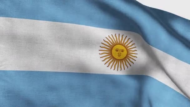Hög Detaljerad Flagga Argentina Nationell Argentina Flagga Sydamerika Render Flagga — Stockvideo