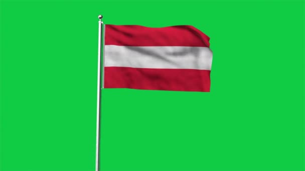 Velmi Podrobná Vlajka Rakouska Národní Rakouská Vlajka Evropa Vykreslování Zelené — Stock video