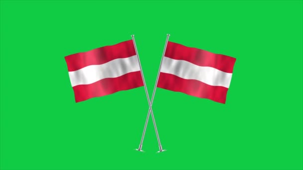 Velmi Podrobná Vlajka Rakouska Národní Rakouská Vlajka Evropa Ilustrace — Stock video