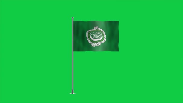 Bandeira Alta Detalhada Liga Árabe Bandeira Liga Árabe Nacional Ásia — Vídeo de Stock
