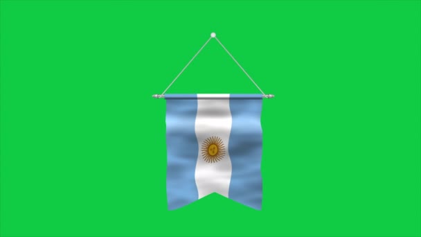 Alta Bandera Detallada Argentina Bandera Nacional Argentina Sudamérica Ilustración — Vídeos de Stock