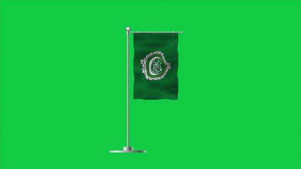 Hoge Gedetailleerde Vlag Van Arabische Liga Nationale Arabische Liga Vlag — Stockvideo