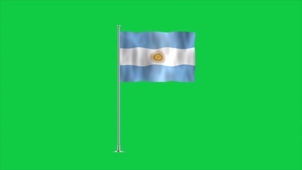 Alta Bandiera Dettagliata Dell Argentina Bandiera Nazionale Argentina Sud America — Video Stock