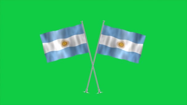Hoch Detaillierte Flagge Argentiniens Argentinische Nationalflagge Südamerika Illustration — Stockvideo