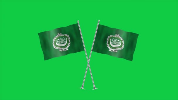 Hohe Fahne Der Arabischen Liga Flagge Der Arabischen Liga Asien — Stockvideo