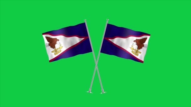 美属萨摩亚的国旗非常详细 美属萨摩亚国旗 3D插图 — 图库视频影像