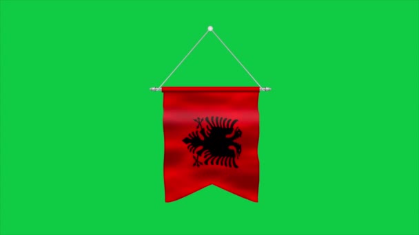 Високий Детальний Прапор Албанії Прапор Албанії Європа Ілюстрація — стокове відео
