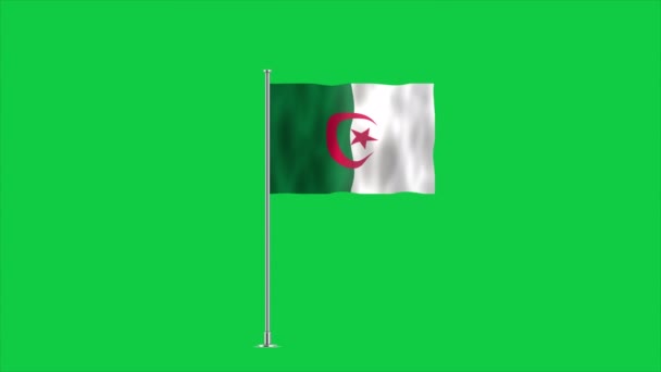 Alta Bandera Detallada Argelia Bandera Nacional Argelia África Ilustración — Vídeos de Stock