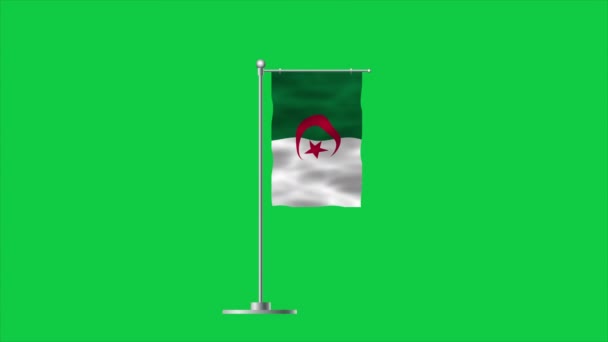 Υψηλή Λεπτομερής Σημαία Της Αλγερίας Σημαία Αλγερίας Αφρική Απεικόνιση — Αρχείο Βίντεο