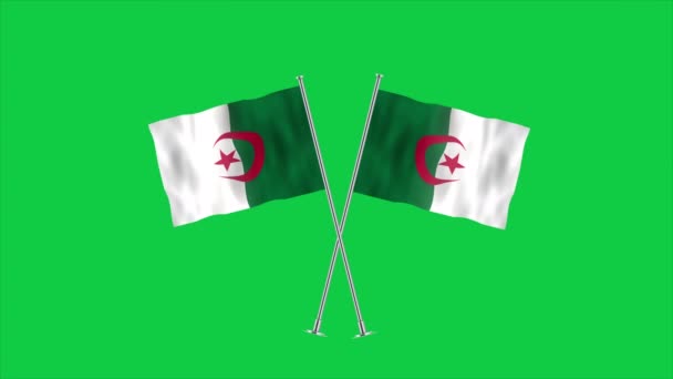 Высокий Детальный Флаг Алжира Государственный Флаг Алжира Африка Иллюстрация — стоковое видео