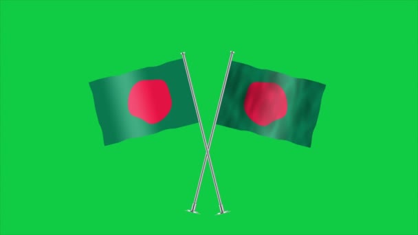 Alta Bandera Detallada Bangladesh Bandera Nacional Bangladesh Asia Ilustración — Vídeo de stock