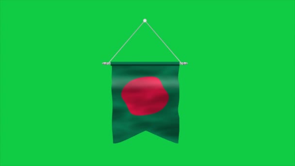 Bandeira Bangladesh Bandeira Nacional Bangladesh Ásia Ilustração — Vídeo de Stock