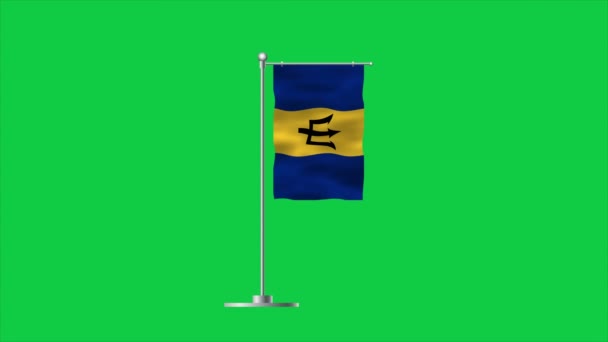 Hoge Gedetailleerde Vlag Van Barbados Nationale Barbados Vlag Noord Amerika — Stockvideo