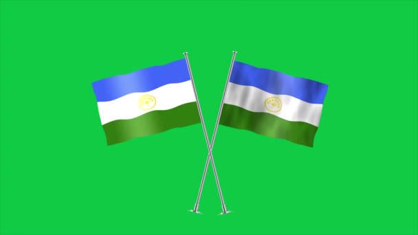 バシュコルトスタンの高い詳細な旗 バシコトスタン国旗 3Dイラスト — ストック動画