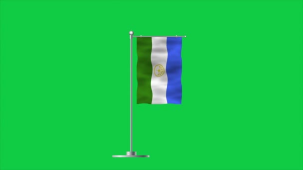 巴什科尔托斯坦的国旗 国家Bashkortostan国旗 3D插图 — 图库视频影像