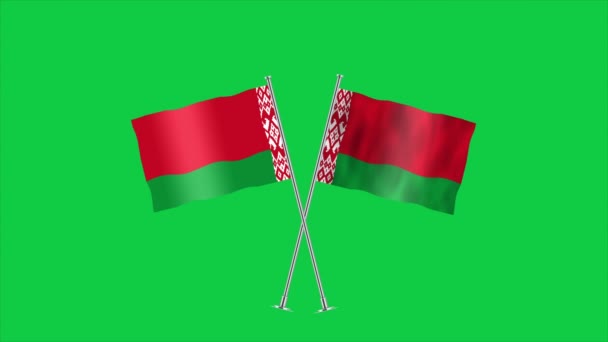 Высокий Детальный Флаг Беларуси Государственный Флаг Беларуси Европе Иллюстрация — стоковое видео