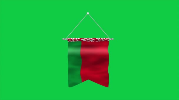 Fehéroroszország Nagy Részletességű Lobogója Fehérorosz Nemzeti Zászló Európába Illusztráció — Stock videók