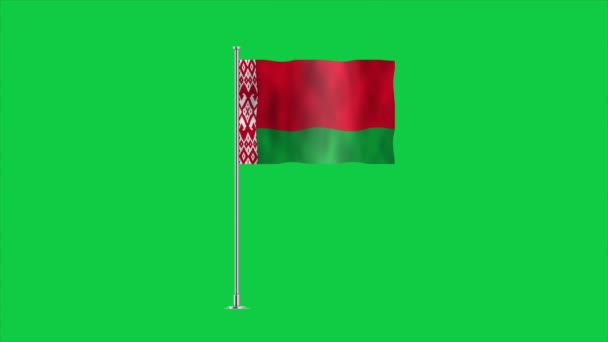 Fehéroroszország Nagy Részletességű Lobogója Fehérorosz Nemzeti Zászló Európába Illusztráció — Stock videók