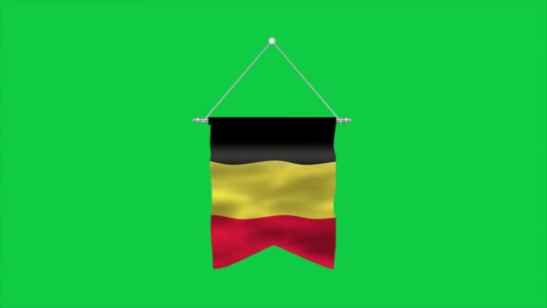 Belgium Nagy Részletességű Lobogója Belga Nemzeti Zászló Európába Illusztráció — Stock videók