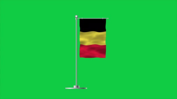Alta Bandera Detallada Bélgica Bandera Nacional Bélgica Europa Ilustración — Vídeo de stock