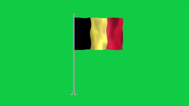 Belgium Nagy Részletességű Lobogója Belga Nemzeti Zászló Európába Illusztráció — Stock videók