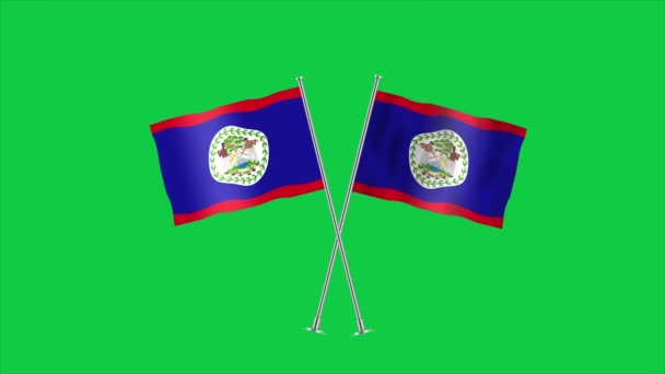 High Detailed Flag Belize National Belize Flag North America Illustration — Stock Video