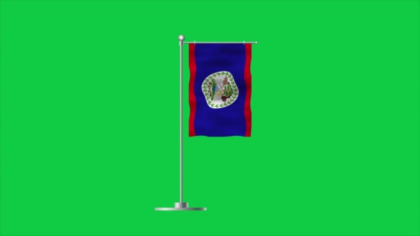 Alta Bandera Detallada Belice Bandera Nacional Belice América Del Norte — Vídeo de stock
