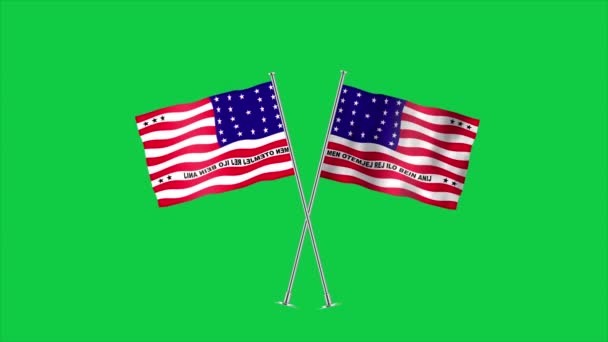 ビキニアトールの高い詳細な旗 ナショナル ビキニ アトール 3Dイラスト — ストック動画