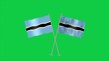 Botswana 'nın yüksek detaylı bayrağı. Ulusal Botswana bayrağı. Afrika. 3B illüstrasyon.