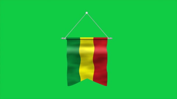 Vysoce Podrobná Vlajka Bolívie Národní Bolívijská Vlajka Jižní Amerika Ilustrace — Stock video