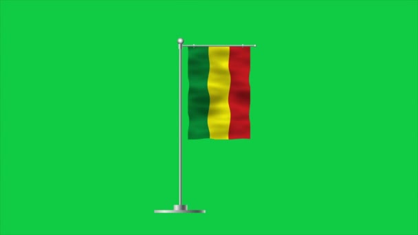 Υψηλή Λεπτομερής Σημαία Της Βολιβίας Εθνική Σημαία Βολιβίας Νότια Αμερική — Αρχείο Βίντεο