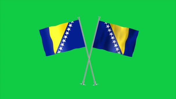 Bandiera Alta Dettagliata Della Bosnia Erzegovina Bandiera Nazionale Bosnia Erzegovina — Video Stock