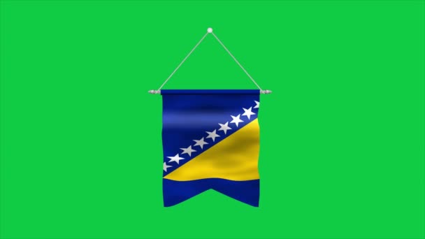 Высокий Детальный Флаг Боснии Герцеговины Флаг Боснии Герцеговины Европе Иллюстрация — стоковое видео