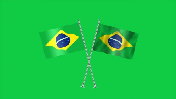 High Detailed Flag Brazil National Brazil Flag South America Illustration — Stock Video