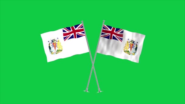 Hohe Detaillierte Flagge Des British Antarctic Territory Flagge Des National — Stockvideo