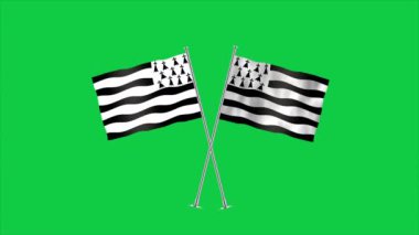 Brittany 'nin yüksek detaylı bayrağı. Ulusal Britanya bayrağı. Üç boyutlu çizim. Yeşil Arkaplan.