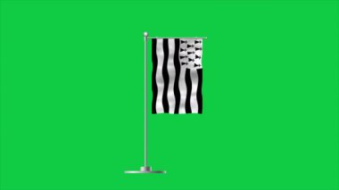 Brittany 'nin yüksek detaylı bayrağı. Ulusal Britanya bayrağı. Üç boyutlu çizim. Yeşil Arkaplan.