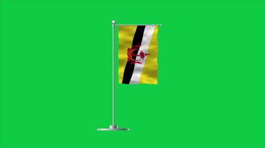 Brunei 'nin yüksek detaylı bayrağı. Ulusal Brunei bayrağı. Asya. 3B illüstrasyon.