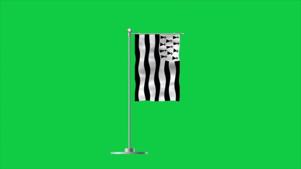 Високий Деталізований Прапор Бретані Національний Прапор Бретані Рендеринг Зелений Фон — стокове відео