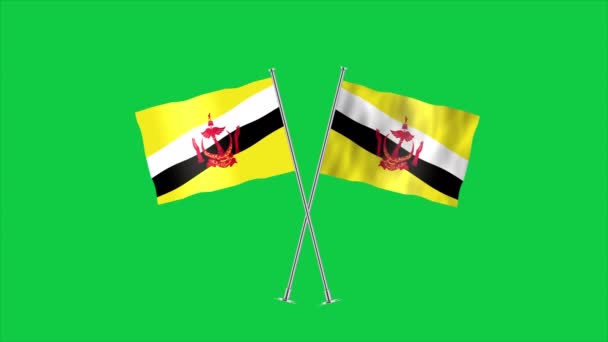 Alta Bandera Detallada Brunei Bandera Nacional Brunei Asia Ilustración — Vídeo de stock