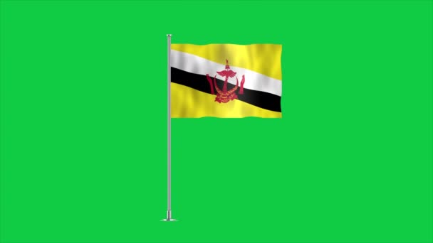Alta Bandera Detallada Brunei Bandera Nacional Brunei Asia Ilustración — Vídeos de Stock