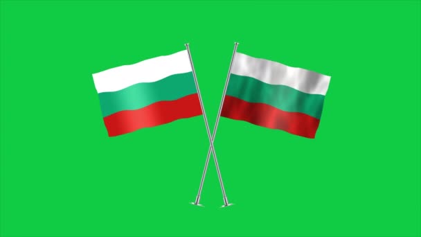 Wysoka Szczegółowa Flaga Bułgarii Flaga Bułgarii Europie Ilustracja — Wideo stockowe