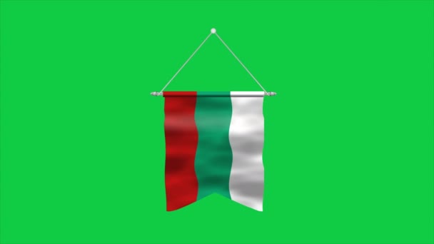 Alta Bandiera Dettagliata Della Bulgaria Bandiera Nazionale Bulgara Europa Illustrazione — Video Stock
