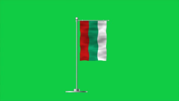Високий Детальний Прапор Болгарії Прапор Болгарії Європа Ілюстрація — стокове відео