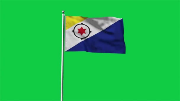 High Detailed Flag Bonaire National Bonaire Flag South America Illustration — Stock Video