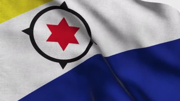 Bonaires Detaljerede Flag Bonaires Nationalflag Sydamerika Render – Stock-video